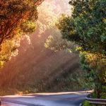 uploaded-image-almanya-gezilecek-yerler-1717411193198