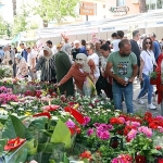 bayindir-26-uluslararasi-cicek-festivali-basliyor.jpg