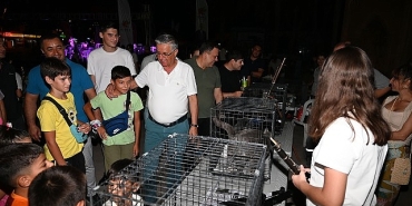 kemerde-sokak-hayvanlari-yararina-ikinci-konser.jpg