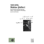 modern-turk-siirinin-ustasi-yahya-kemal-butun-siirleriyle-raflarda.jpg