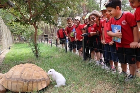buyuksehir-dogal-yasam-parkinda-4-ekim-kutlamasi.jpg
