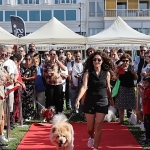 patilerin-festivali-6-yasinda.jpg