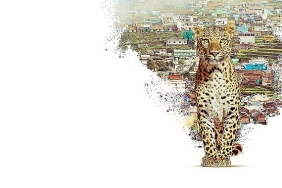 nilgiri-daglarini-kesfe-cikaran-nilgiris-mavi-daglarin-hikayesi-22-nisan-carsamba-20-00de-national-geographic-wild-ekranlarinda.jpg