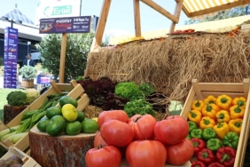 5-uluslararasi-foodfest-antalya-gastronomi-festivali-basliyor.jpg