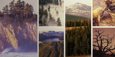 ulusal-parklar-amerika-ozel-3-mayis-pazar-saat-20-00de-national-geographic-wild-ekranlarinda-izleyicilerle-bulusuyor.jpg