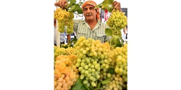 urlada-2600-yillik-gelenek-bagbozumu-senlikleri-basliyor.jpg